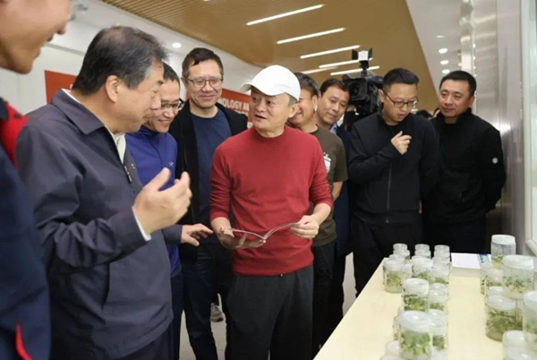 如何为定制农业搭建全产业链数字化服务平台