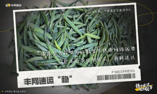 深山茶叶搭上快递“专车” 丰网速运稳定服务保障茶叶运输