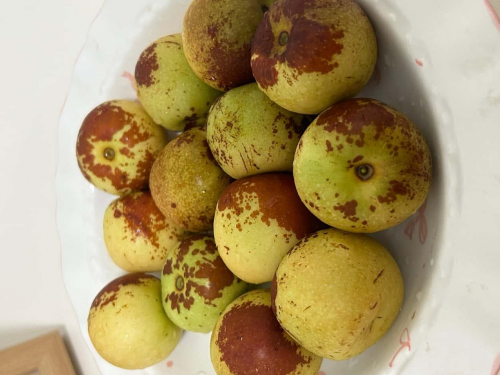 从枝头到舌尖的匠心守护 ——“一枣一世界”品质全程把控